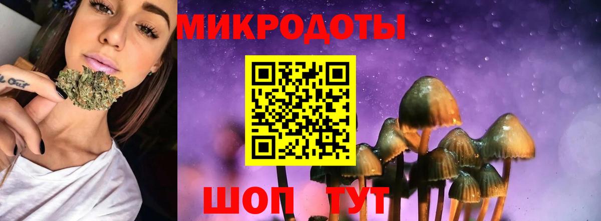 Псилоцибиновые грибы Cubensis  Вход с VPN  Можга  Псилоцибиновые грибы мицелий 